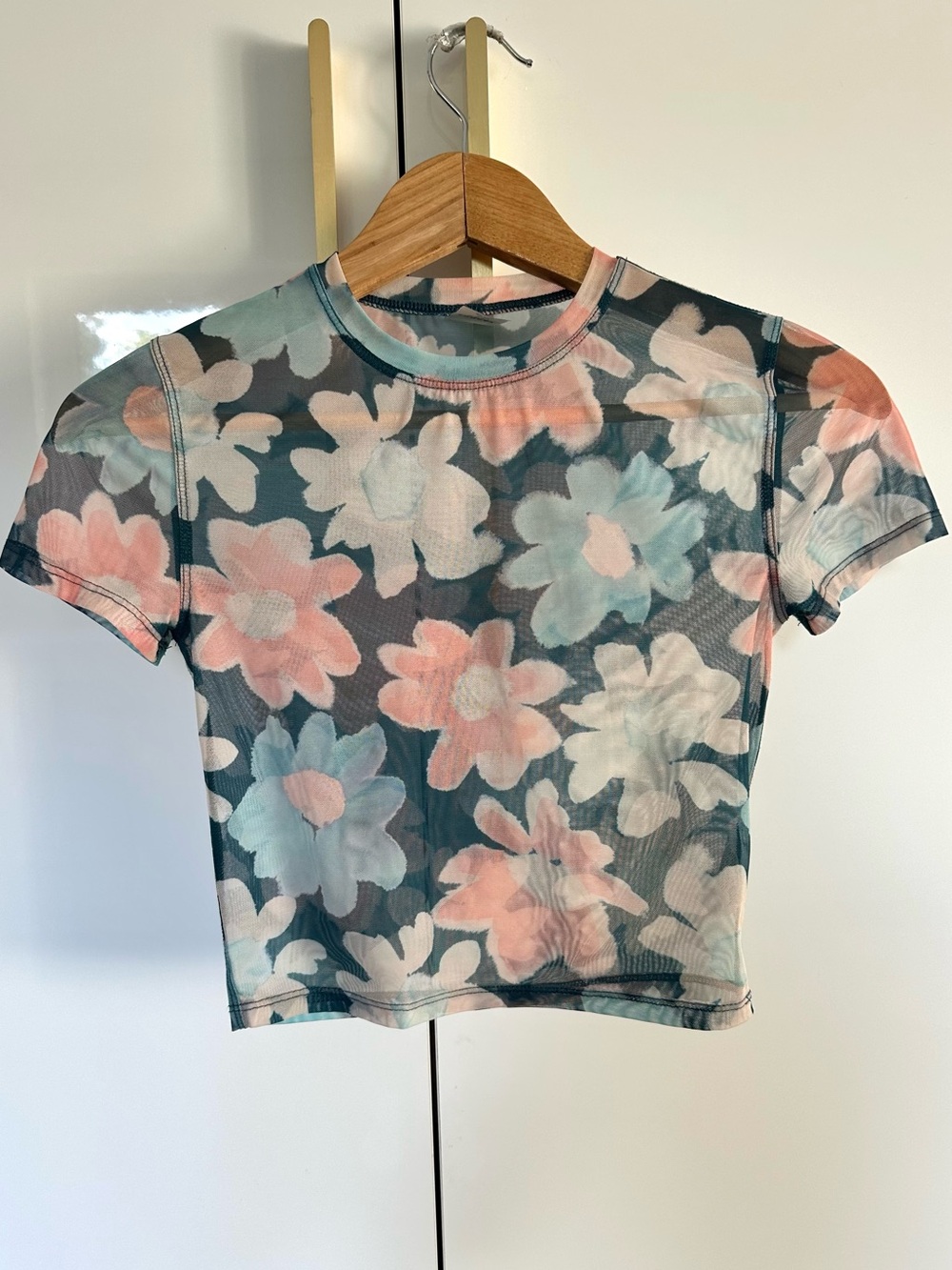 Sunday Best Aritzia Floral Mesh Baby Tee sheer 2XS